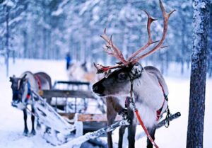 Read more about the article Merry Christmas 2020